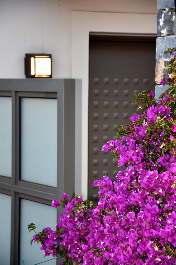 Ελιάδες - Eliades Apartments Karystos  Exteriör bild